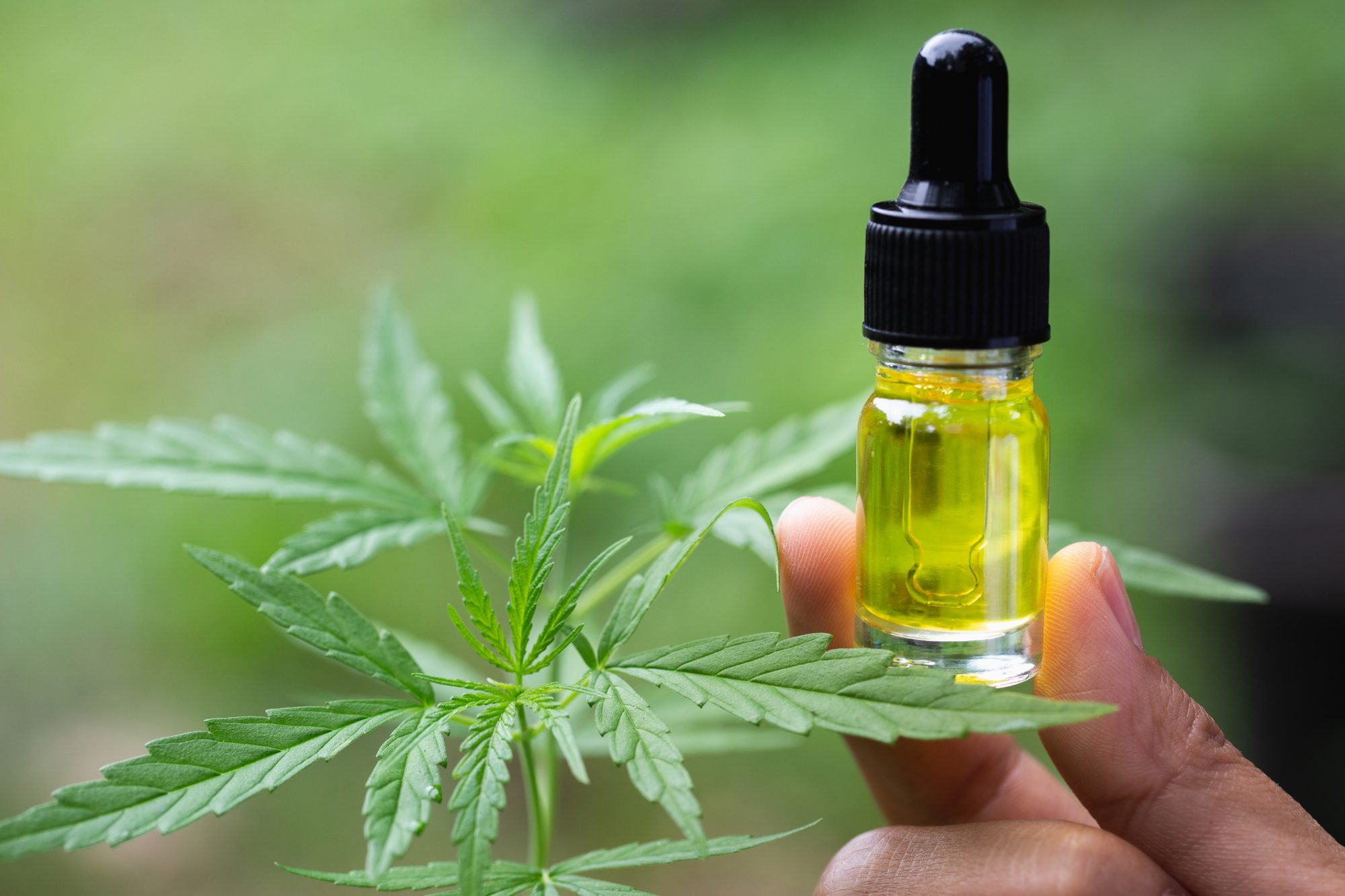 CAN YOU TAKE TOO MUCH CBD OIL