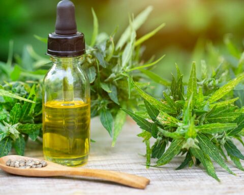 HOW QUICKLY DOES CBD OIL WORK