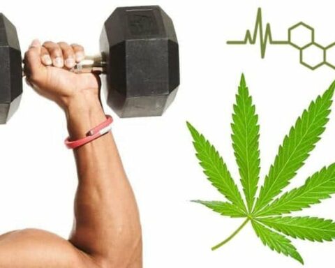 TOPICAL CBD FOR WORKOUT