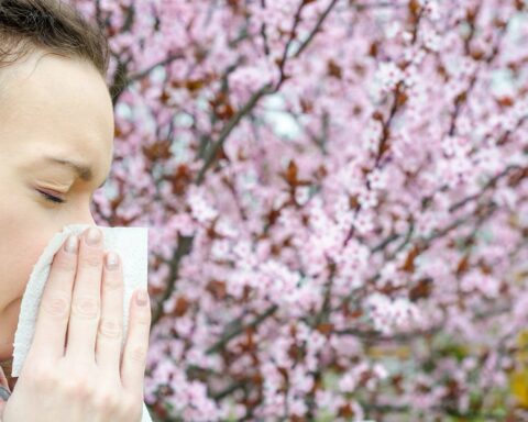 Things To Buy or Replace to Improve Your Allergies