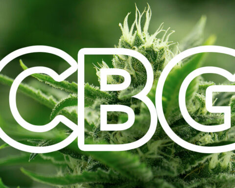 WHAT IS CBG?