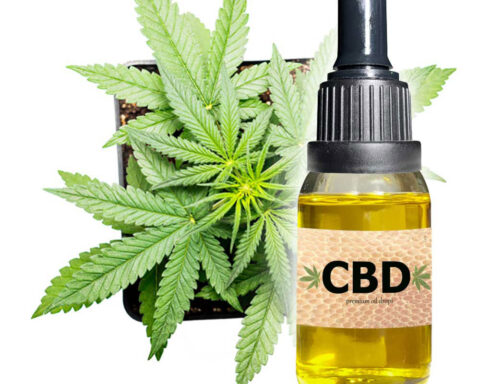 WHAT TO KNOW ABOUT BAKING WITH CBD OIL?