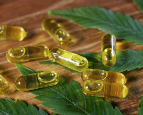 WHICH IS BETTER, CBD TINCTURES OR CAPSULES