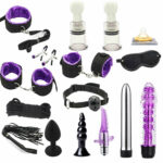 A Guide to BDSM Sex Toys