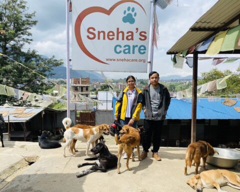 Sneha’s Care is a committed to creating a society where all animals are treated humanely