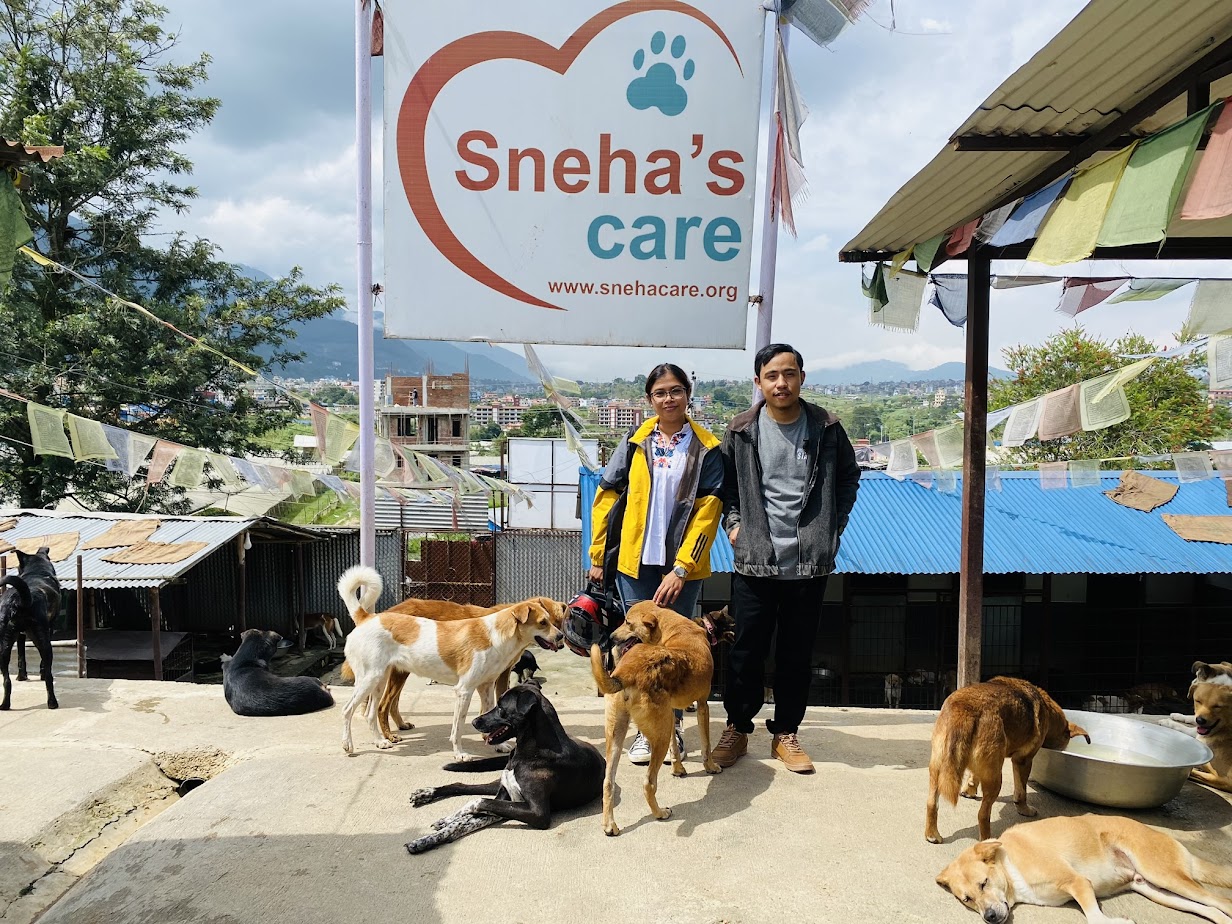 Sneha’s Care is a committed to creating a society where all animals are treated humanely