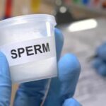 Sperm Donors For Same-Sex Couples: What Are Your Rights?