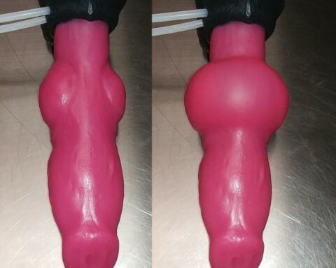 DOG DILDOS: WE DARE YOU TO TRY ONE