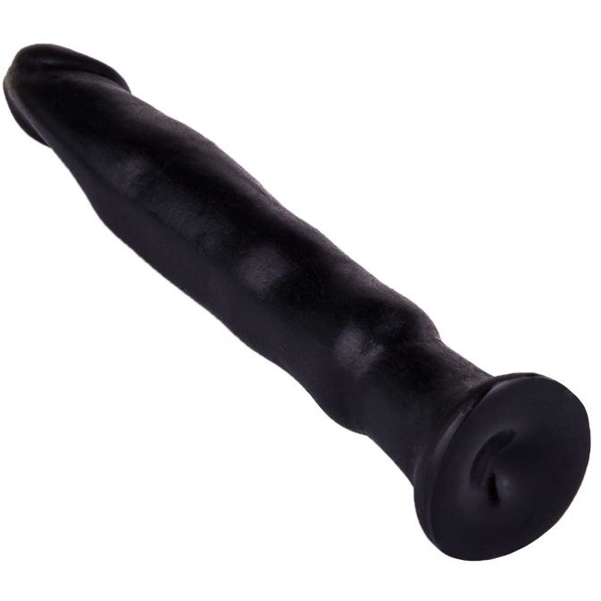 New to Anal Sex Toys