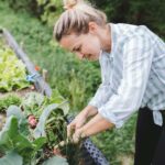 Entrepreneurial Blossoms: The Growth Journey of Aussie Green Thumb