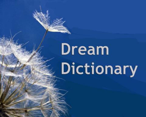 Ace Dream Dictionary Interpret Now