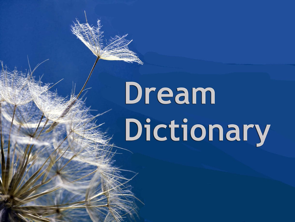 Ace Dream Dictionary Interpret Now