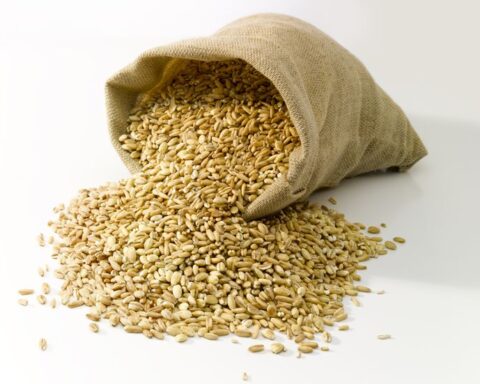 A Bag Filled With Grains