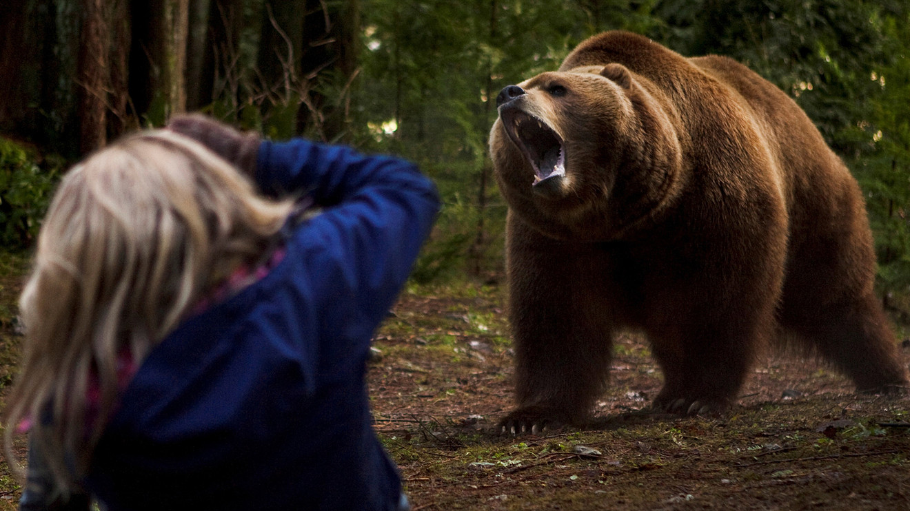 Bear Attack