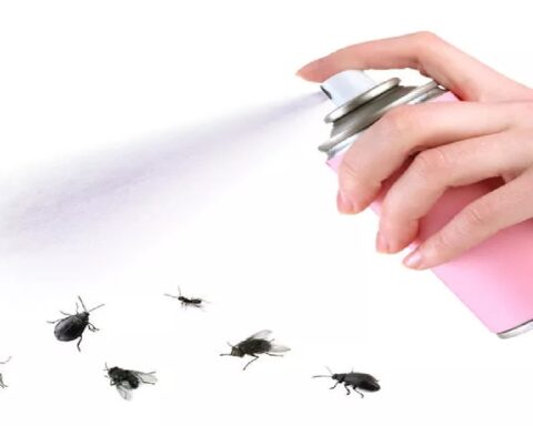 Bug Spray