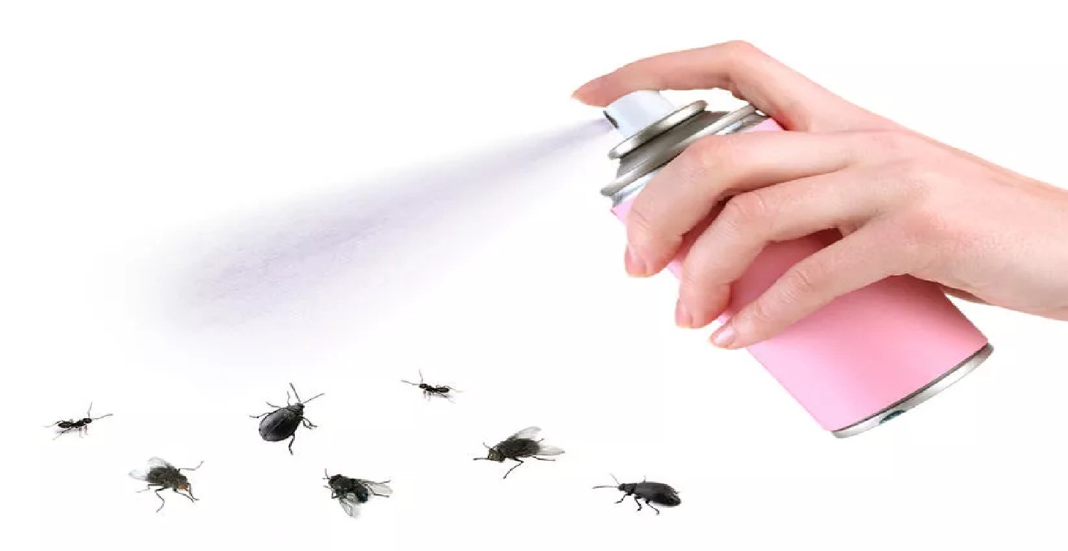 Bug Spray