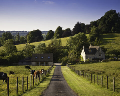 Countryside